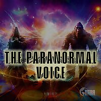 The Paranormal Voice