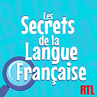 Les secrets de la langue fran&ccedil;aise : orthographe, grammaire et conjugaison