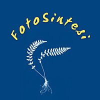 FotoSintesi