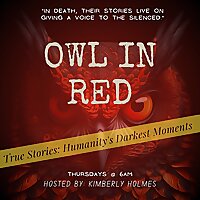 Owl In Red