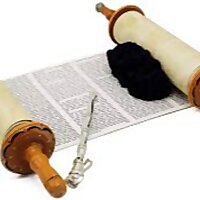 Weekly Parsha Divrei Torah