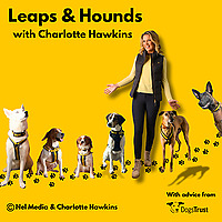 Leaps and Hounds with Charlotte Hawkins
