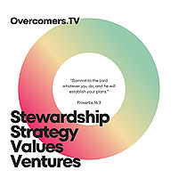 Stewardship Strategy Values Ventures