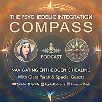 The Psychedelic Integration Compass