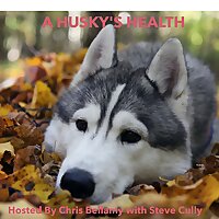 Husky Talk with Steve Cully