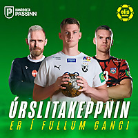 Landsli&eth;in Okkar