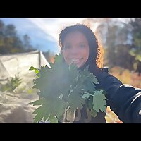 The Gutsy Herbalist