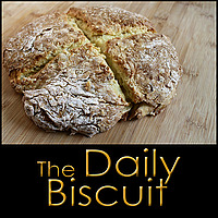 The Daily Biscuit
