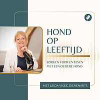 Hond op leeftijd