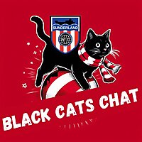 Black Cats Chat