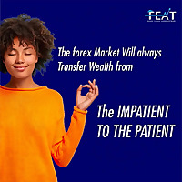 Question and Answers for Newbies in Forex