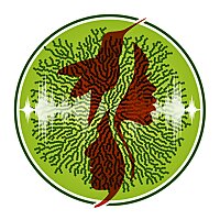 Circle of Voices - Immersive audio documentaries & ecological sound art