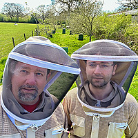 The Walrus and the Honey Bee