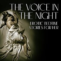 The Voice In The Night: Erotic Bedtime Stories For Her