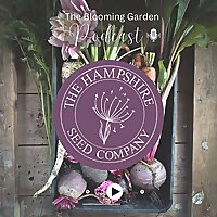 The Blooming Garden