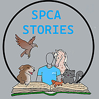 SPCA Stories