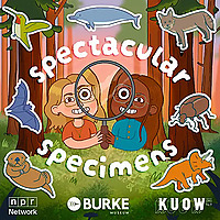 Spectacular Specimens