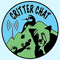 Critter Chat