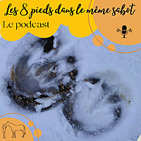 Les 8 pieds dans le m&ecirc;me sabot