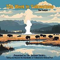 This Week in Yellowstone National Park