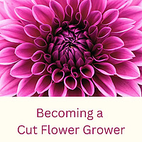 Becoming a Cut Flower Grower
