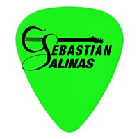 Sebasti&aacute;n Salinas Guitarra