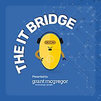 The IT Bridge