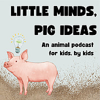 Little Minds, Pig Ideas