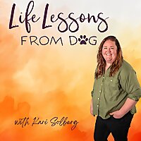 Life Lessons from Dog