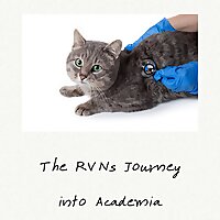 The Veterinary Nurse Journey into Academia