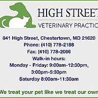 Pet Patter with Dr. Rachel Crockett