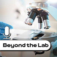 Beyond the lab: PhDIBINEM - Unibo