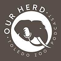 Our Herd: Toledo Zoo Podcast