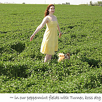 Heather's IBS Newsletter - Help for Irritable Bowel Syndrome.