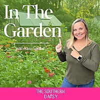 In The Garden with Kim Aguilar, The Southern Daisy