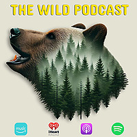 The Wild Podcast
