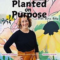 Planted on Purpose: Conversations for today's Busy, Christian Mom where holistic health replaces bur
