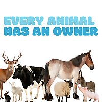 Every Animal Has an Owner