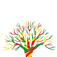 Senegal 360 -Votre Podcast sur l'Actualit&eacute; qui Compte