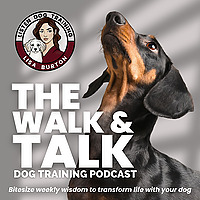 Listen Dog Training: The Walk & Talk