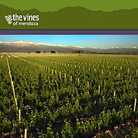The Vines of Mendoza: Adventures in Winemaking