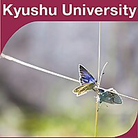 基礎昆虫学
