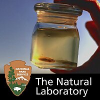 The Natural Laboratory