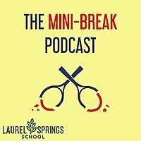 The Mini-Break [Tennis Podcast]