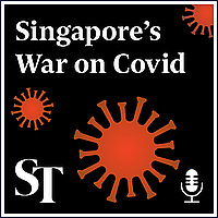 Singapore's War On Covid