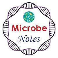 Microbe Notes