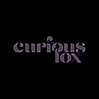 Curious Fox
