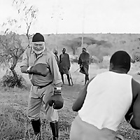 The Boxing Tribune