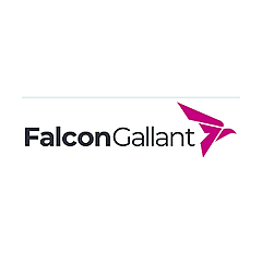 Falcon Gallant Blog
