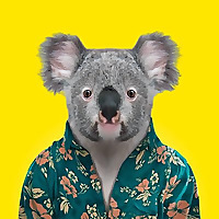Queensland
